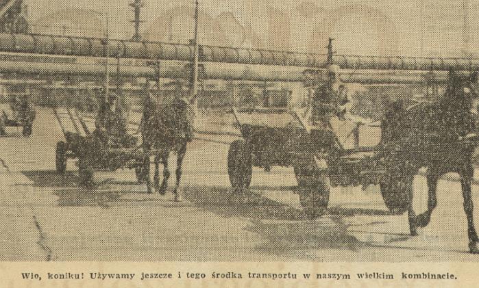 Głos_1959_nr38_s2